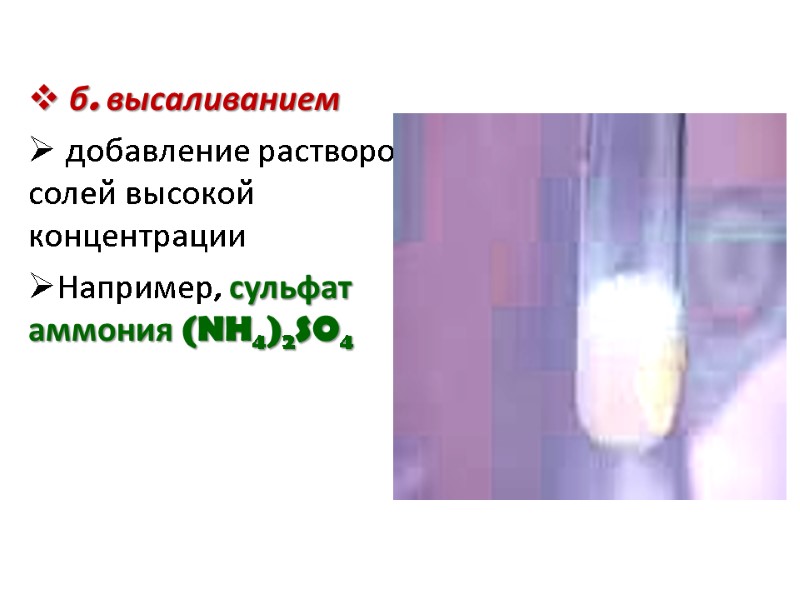 б. высаливанием  добавление растворов солей высокой концентрации  Например, сульфат аммония (NH4)2SO4